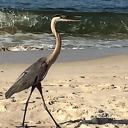 Phoenix Gulf Shores 1203 By Bender Vacation Rentals Bagian luar foto
